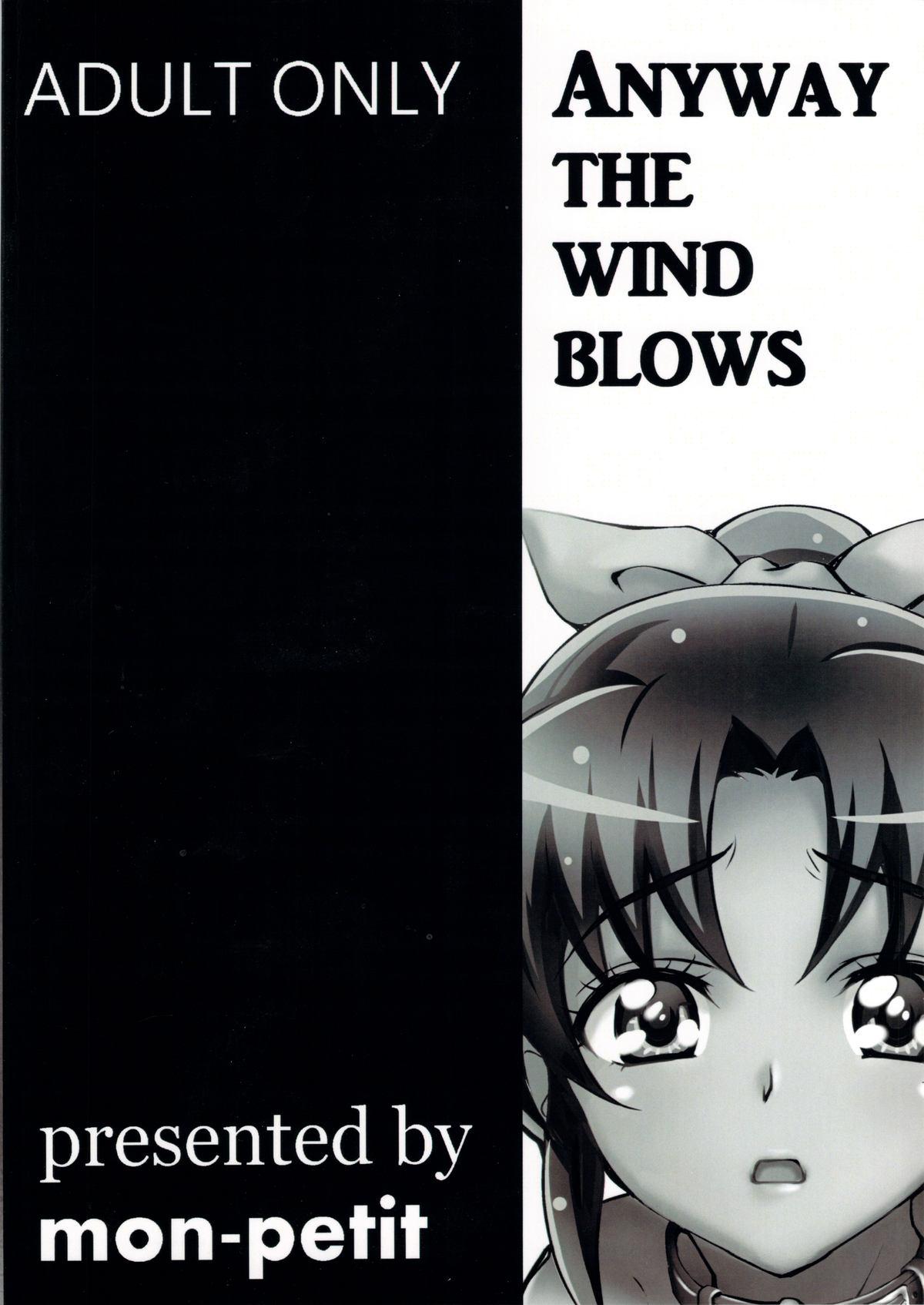 ANYWAY THE WIND BLOWS 1