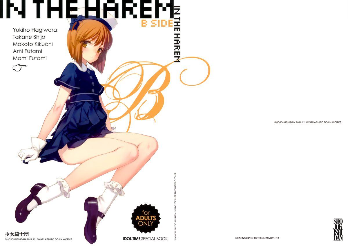 IN THE HAREM B SIDE 1