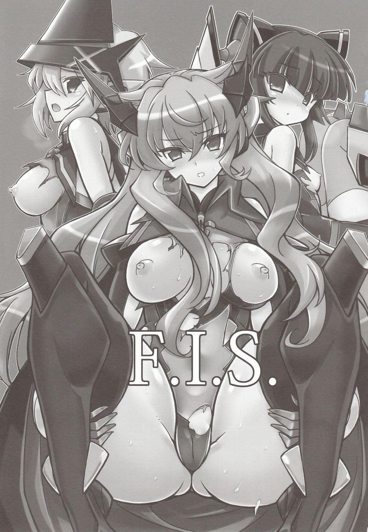 F.I.S. 1