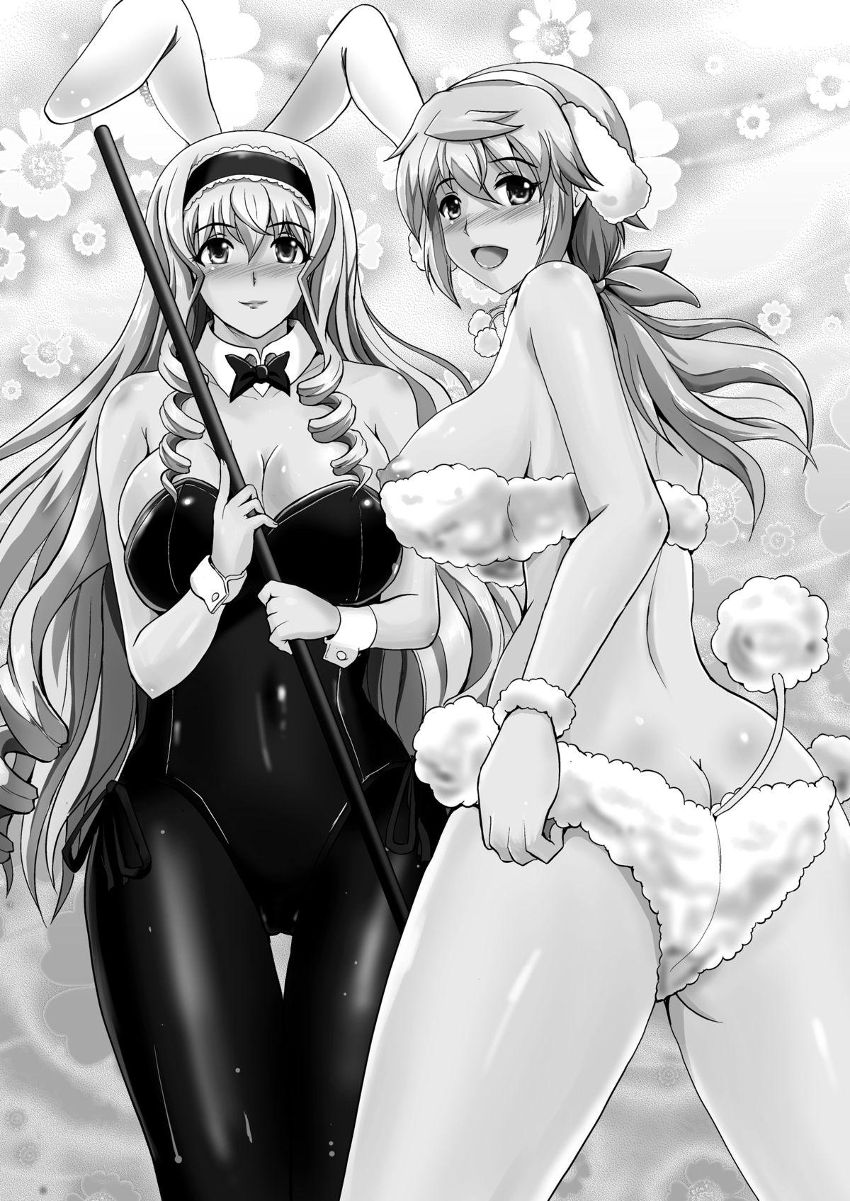 Blowjob Poodle & Bunny Time - Infinite stratos Lick - Page 7