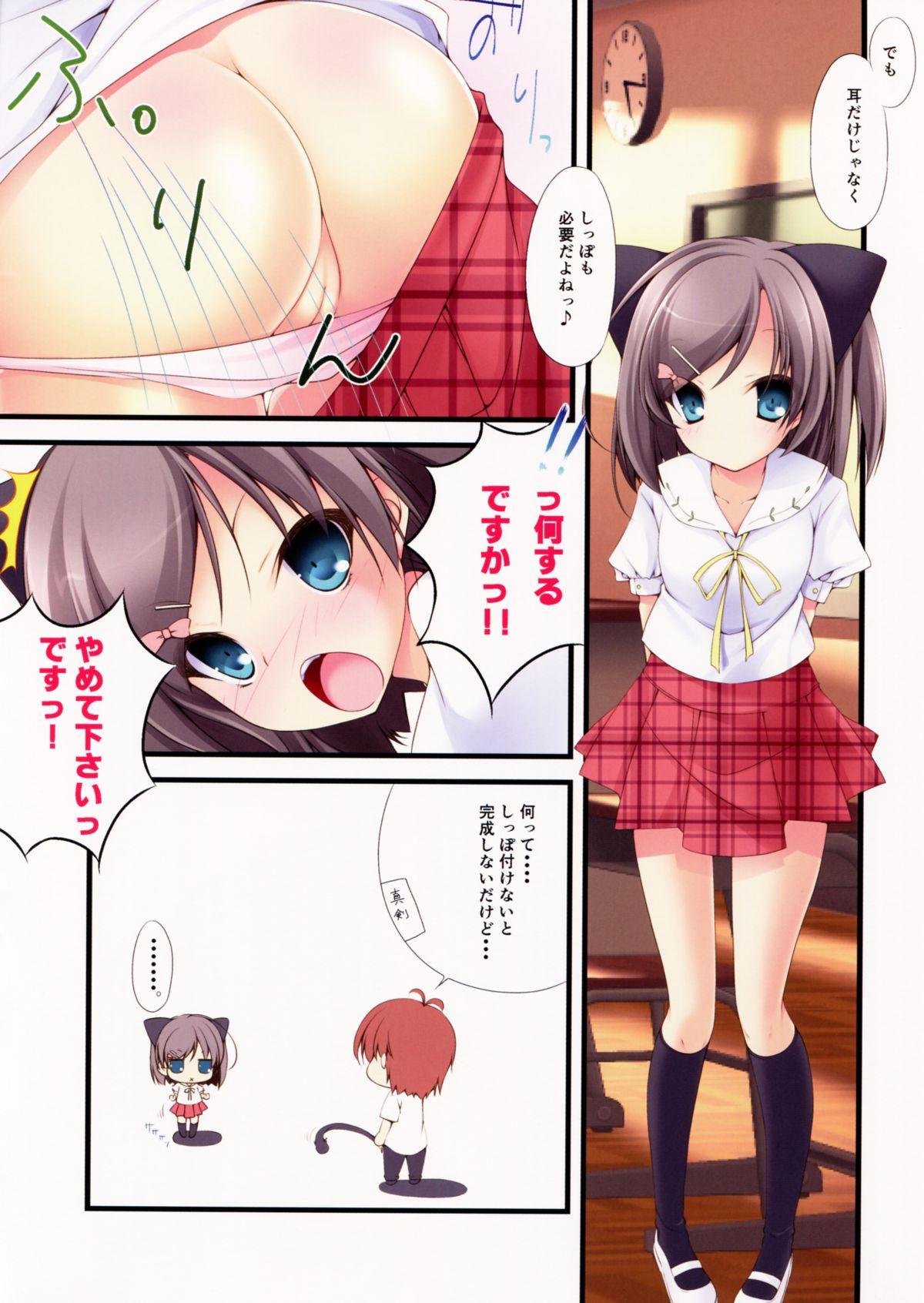 Str8 Hentai Neko no Ouji-sama. + Re:set - Hentai ouji to warawanai neko Office Sex - Page 4