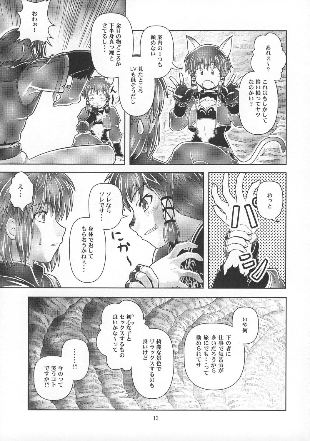 Verga Anoko wa F4 - Final fantasy xi Cbt - Page 12