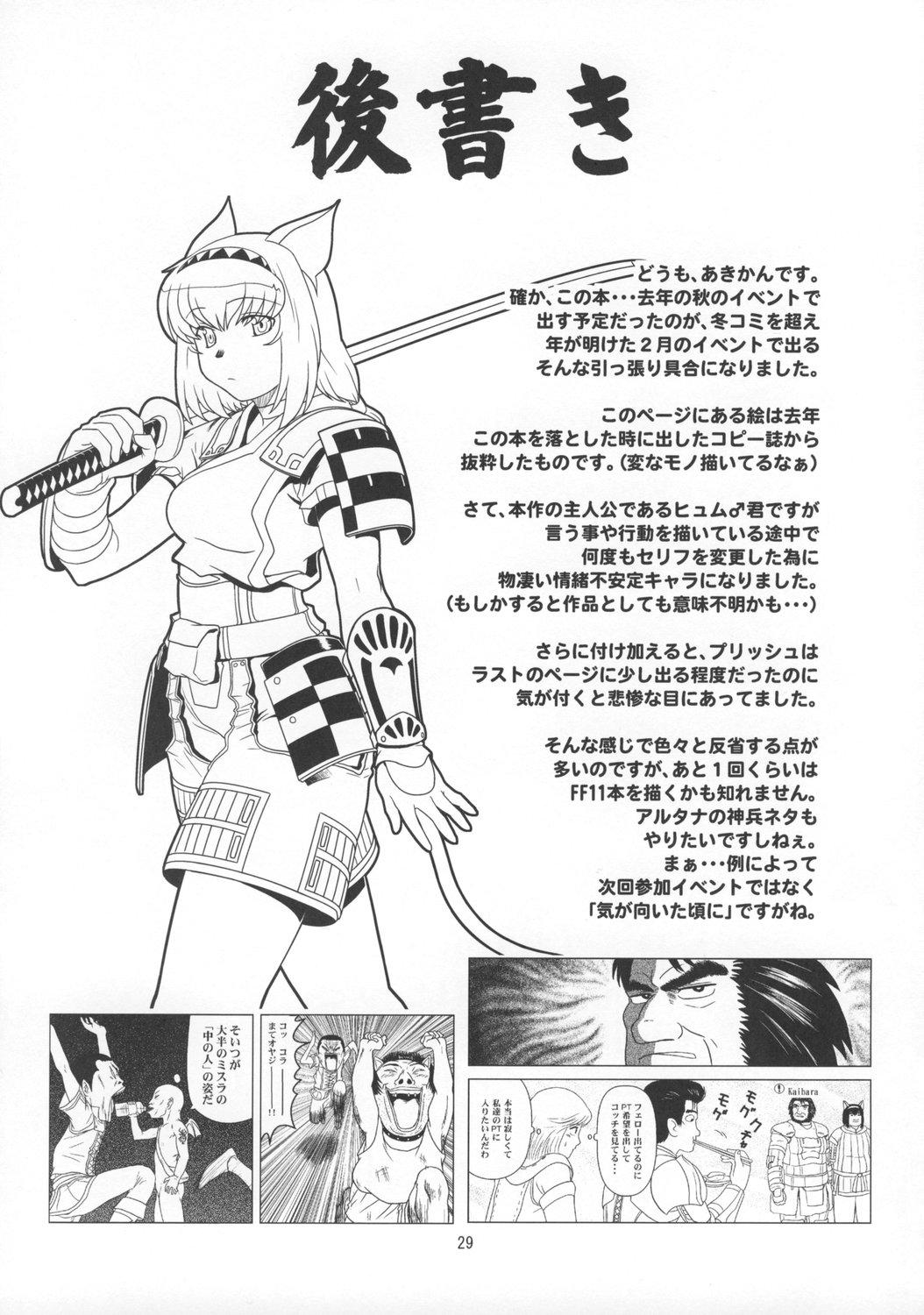 Verga Anoko wa F4 - Final fantasy xi Cbt - Page 28