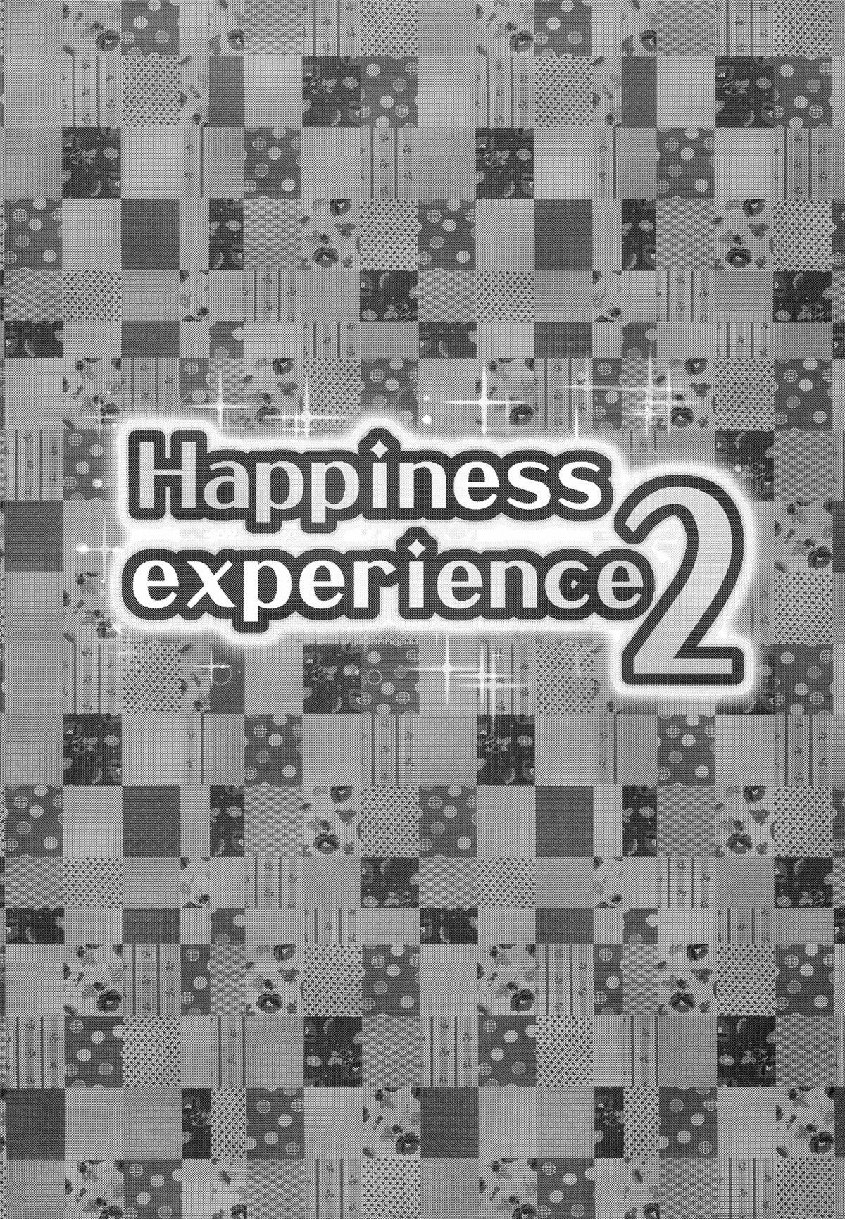 Happiness experience 2 2