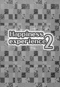 Happiness experience 2 3