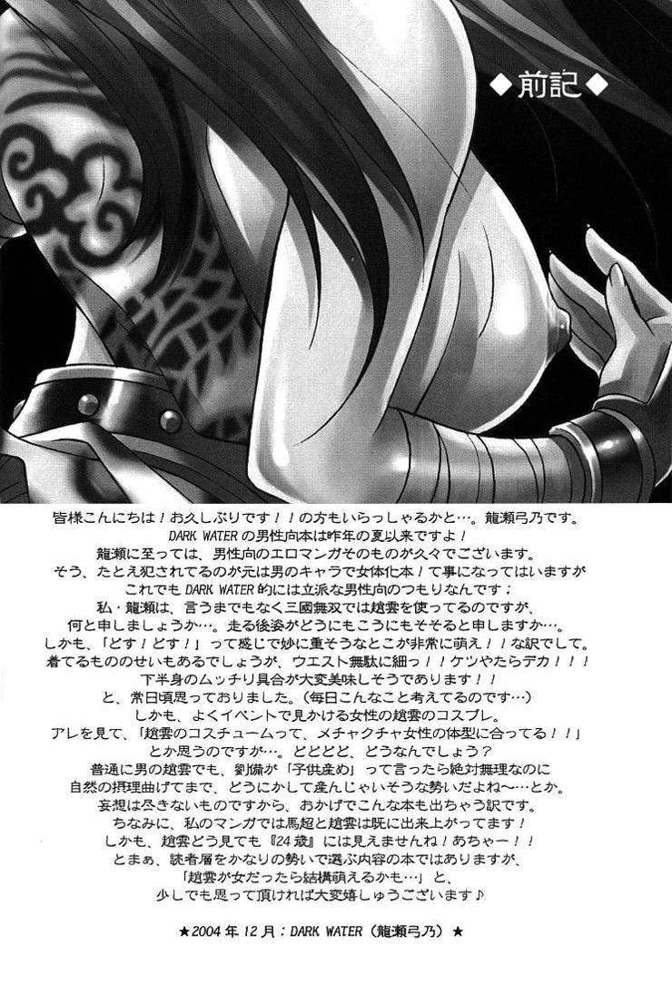 Interview Seiryuu Ranbu - Dynasty warriors Jocks - Page 3