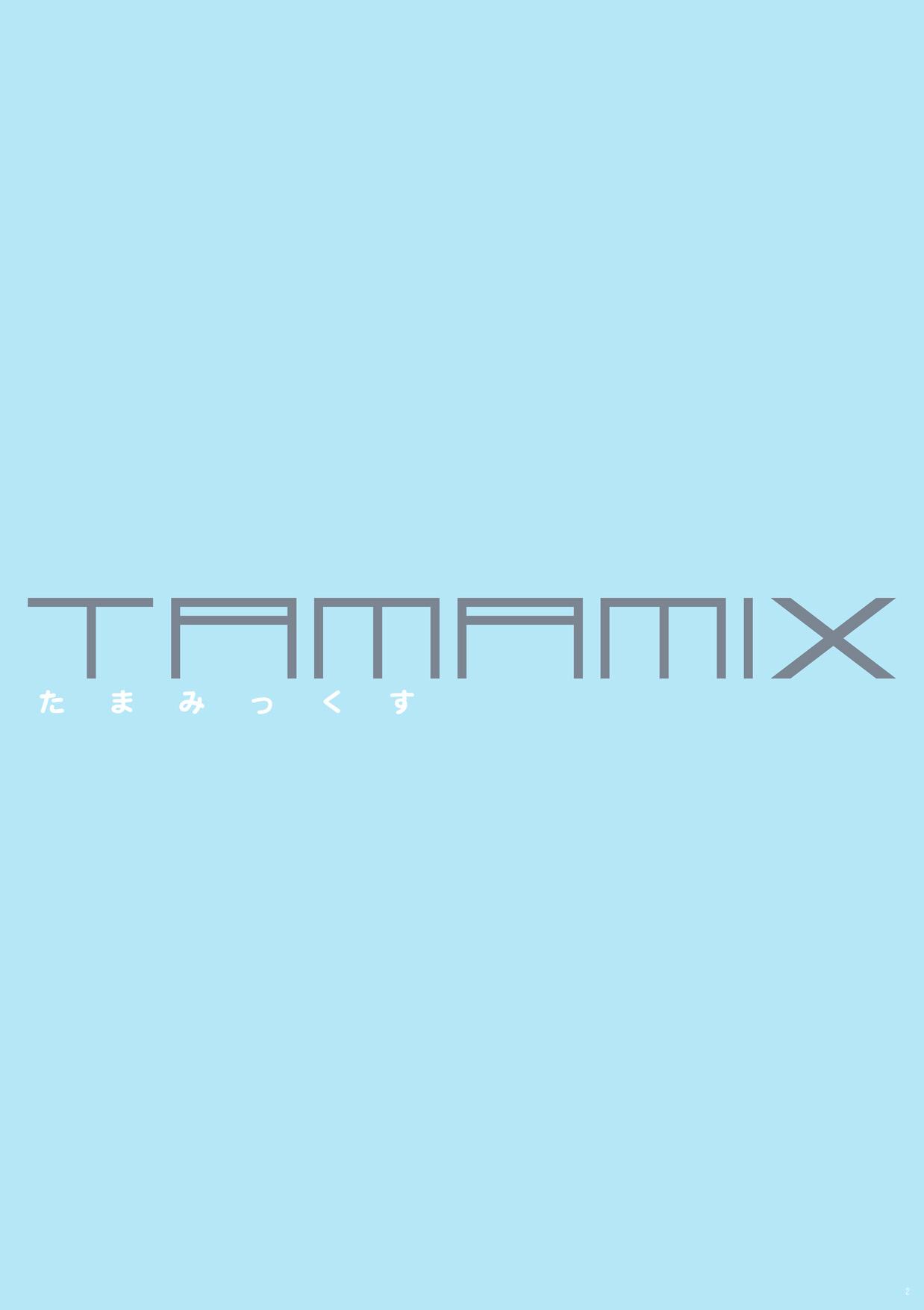 TAMAMIX 2