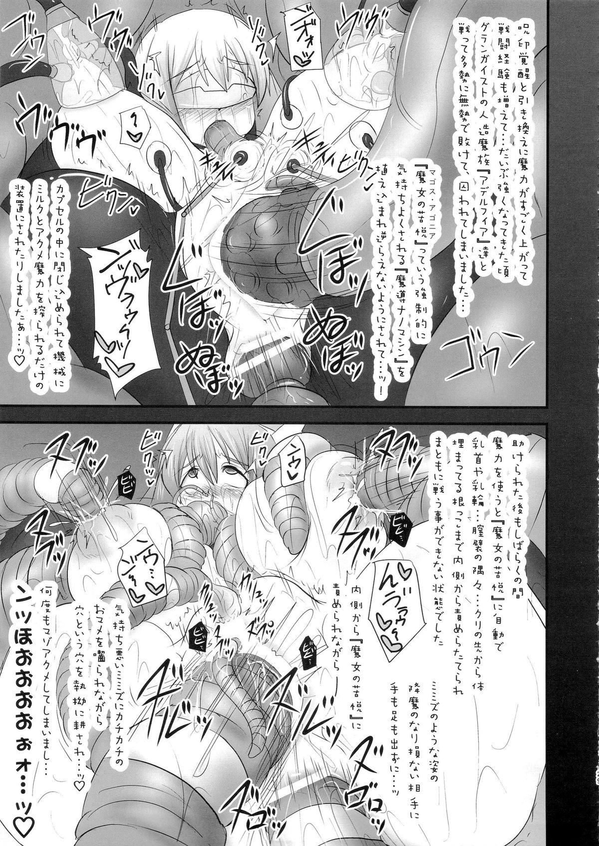 Shield Knight Elsain Vol. 18 Injuu no Jukokuin 2 27