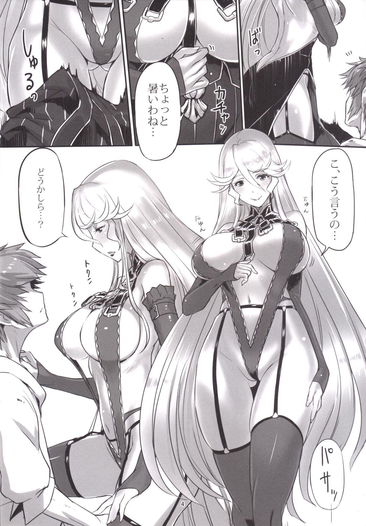 Gaycum Walpurgis no Yoru - Granblue fantasy Escort - Page 3