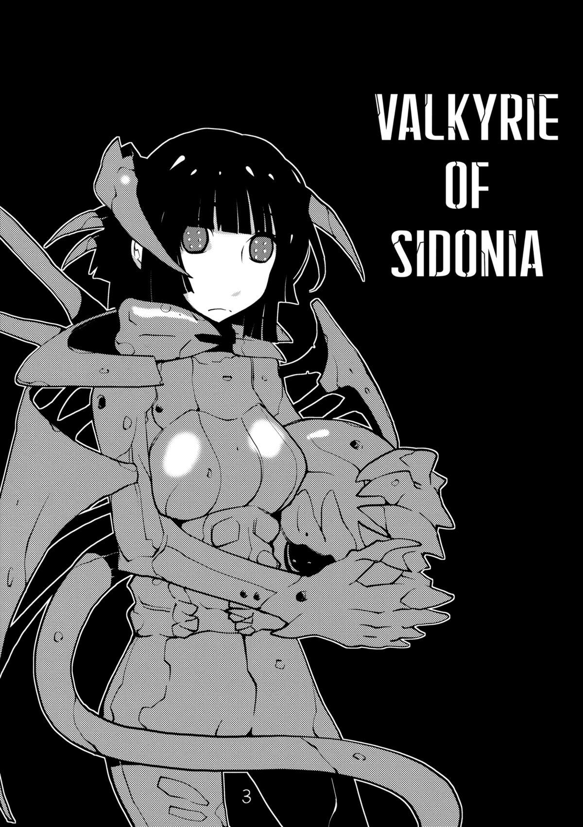 Valkyrie of Sidonia 1