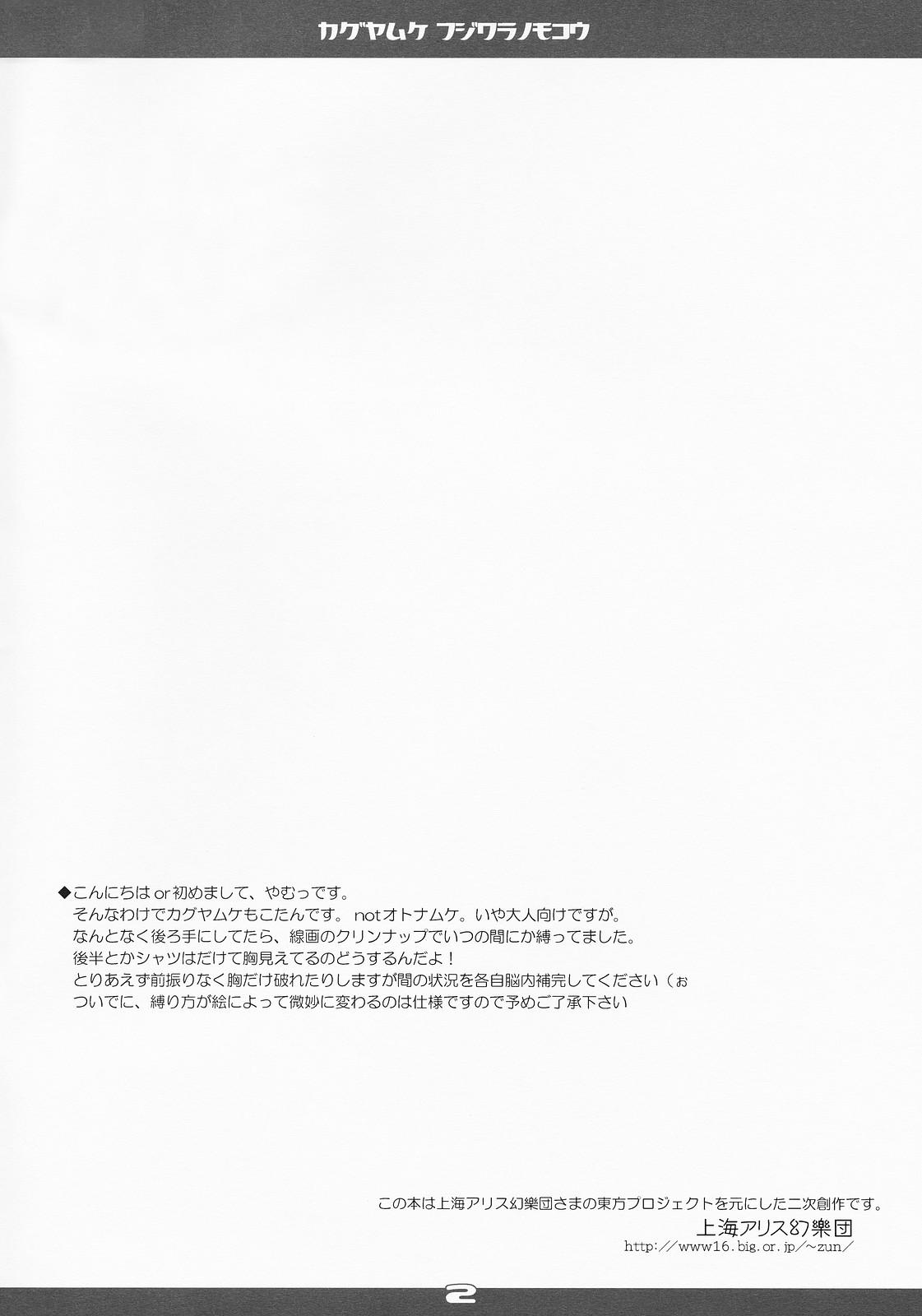 Model Kaguya Muke Fujiwara no Mokou - Touhou project Calcinha - Page 2