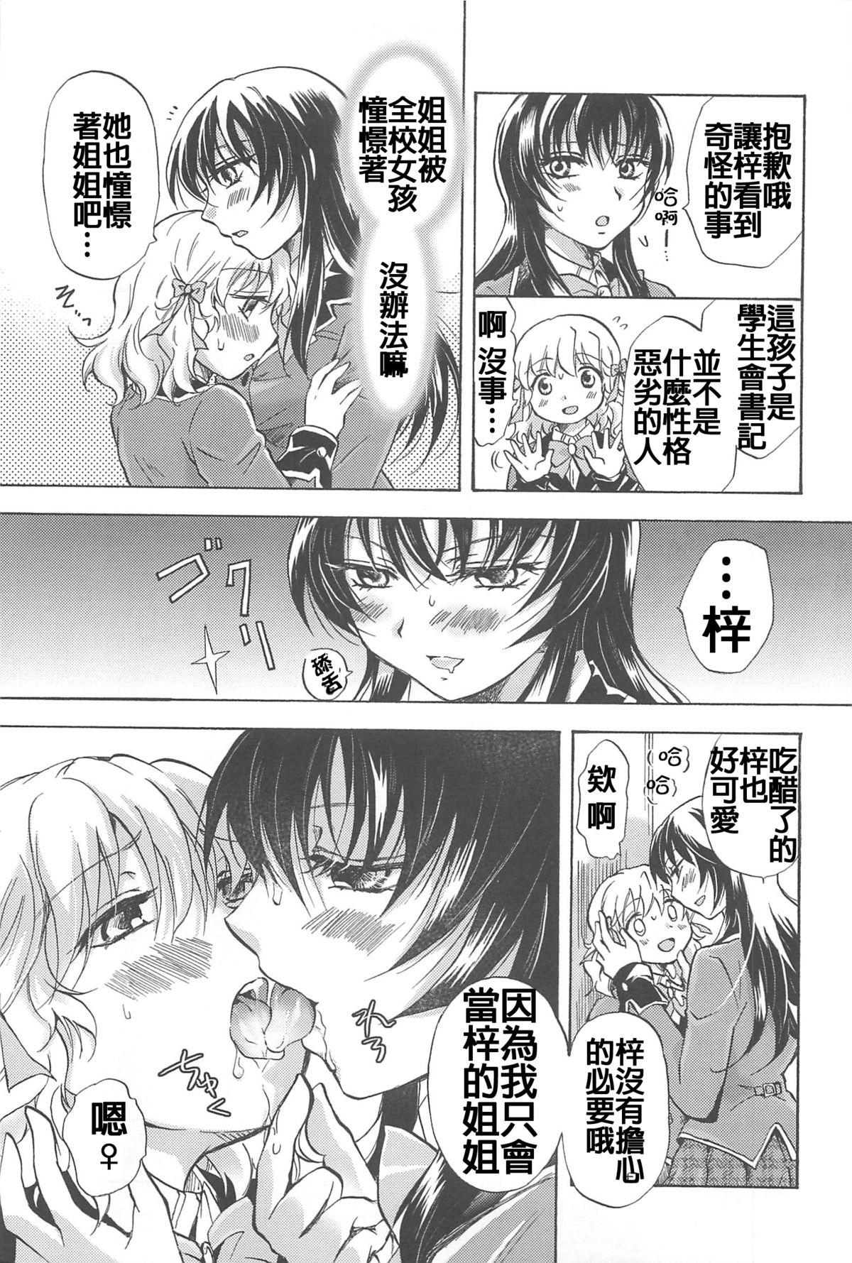 [Mira] Watashi no Ikenai Onee-chan + Watashi no Abunai Onee-chan + Watashi no Itoshii Onee-chan [Chinese] [补丁布丁汉化组E] 18