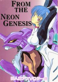 From the Neon Genesis 01 1