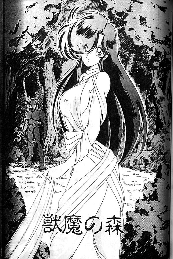 Seirei Tokusou Fairy Saber 126