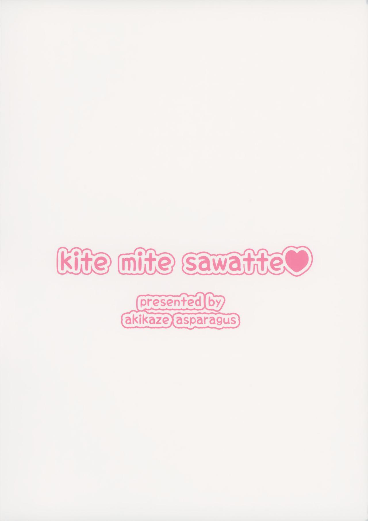 Kite Mite Sawatte 29