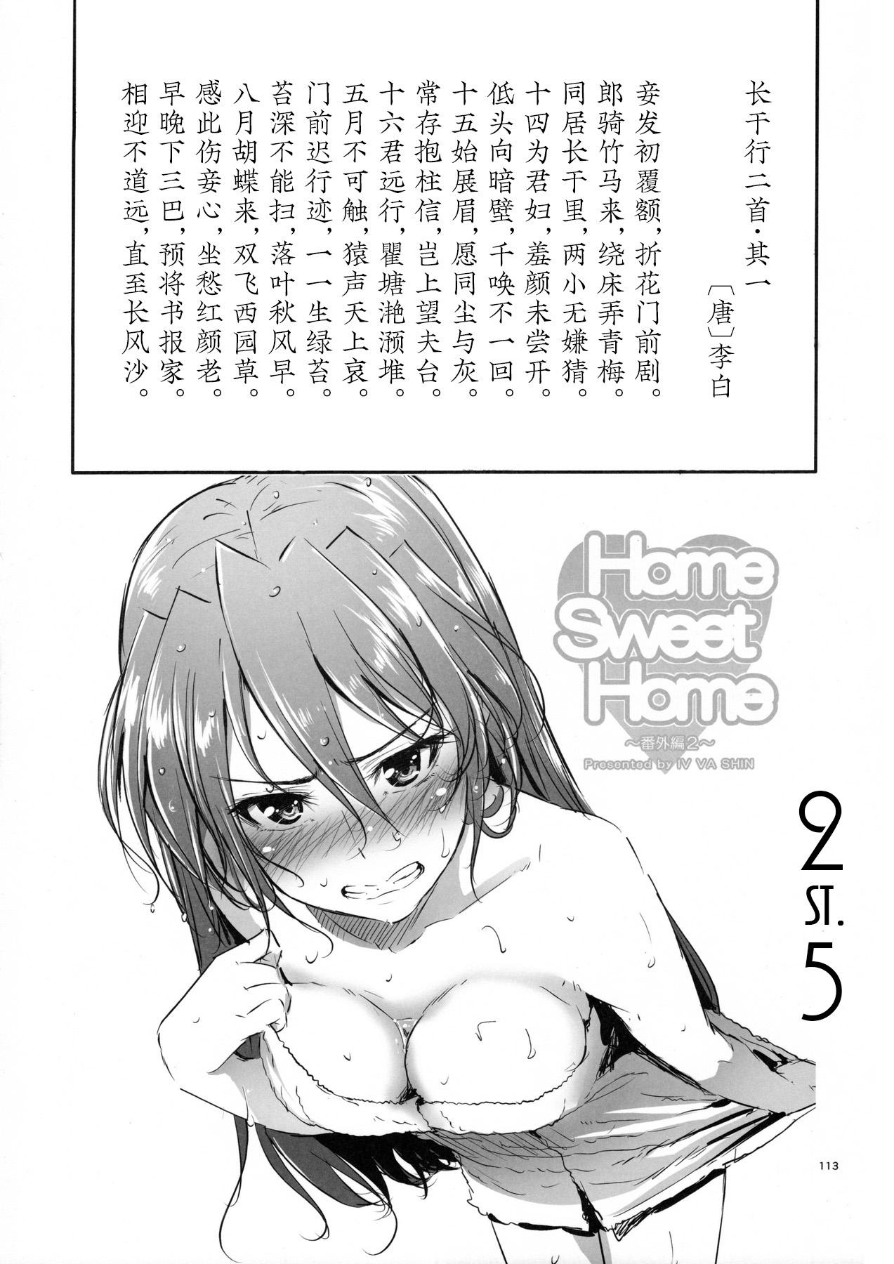 (C88) [IV VA SHIN (Mikuni Mizuki)] Home Sweet Home ~Soushuuhen~ Bangaihen 2 + Teana Hen 1.5 (Mahou Shoujo Lyrical Nanoha) [Chinese] [st.] 0