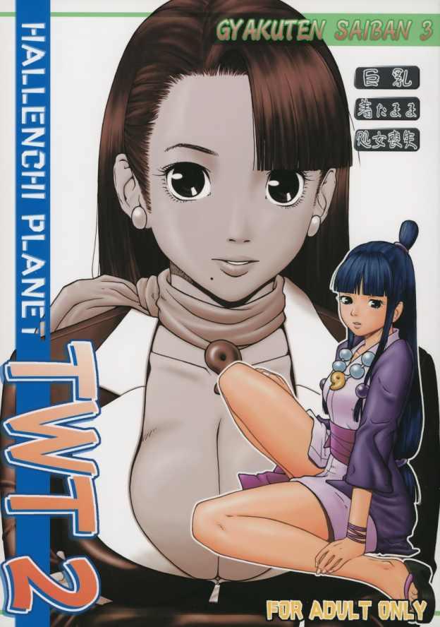 Denmark TWT 2 - Ace attorney Groping - Picture 1