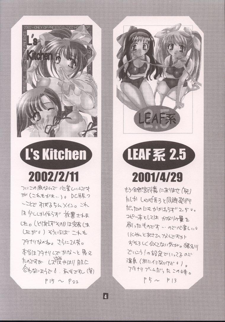 LL's Kitchen 2