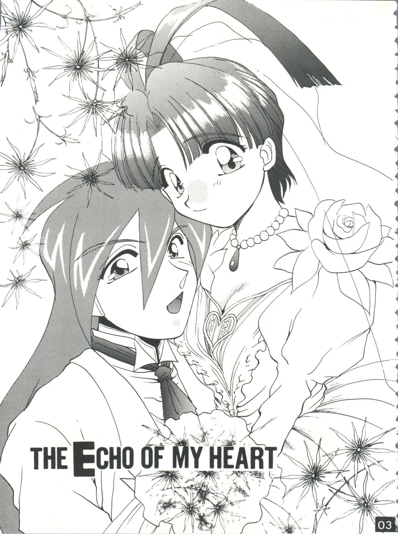 Maid The Echo of My Heart - Gaogaigar Coeds - Page 2