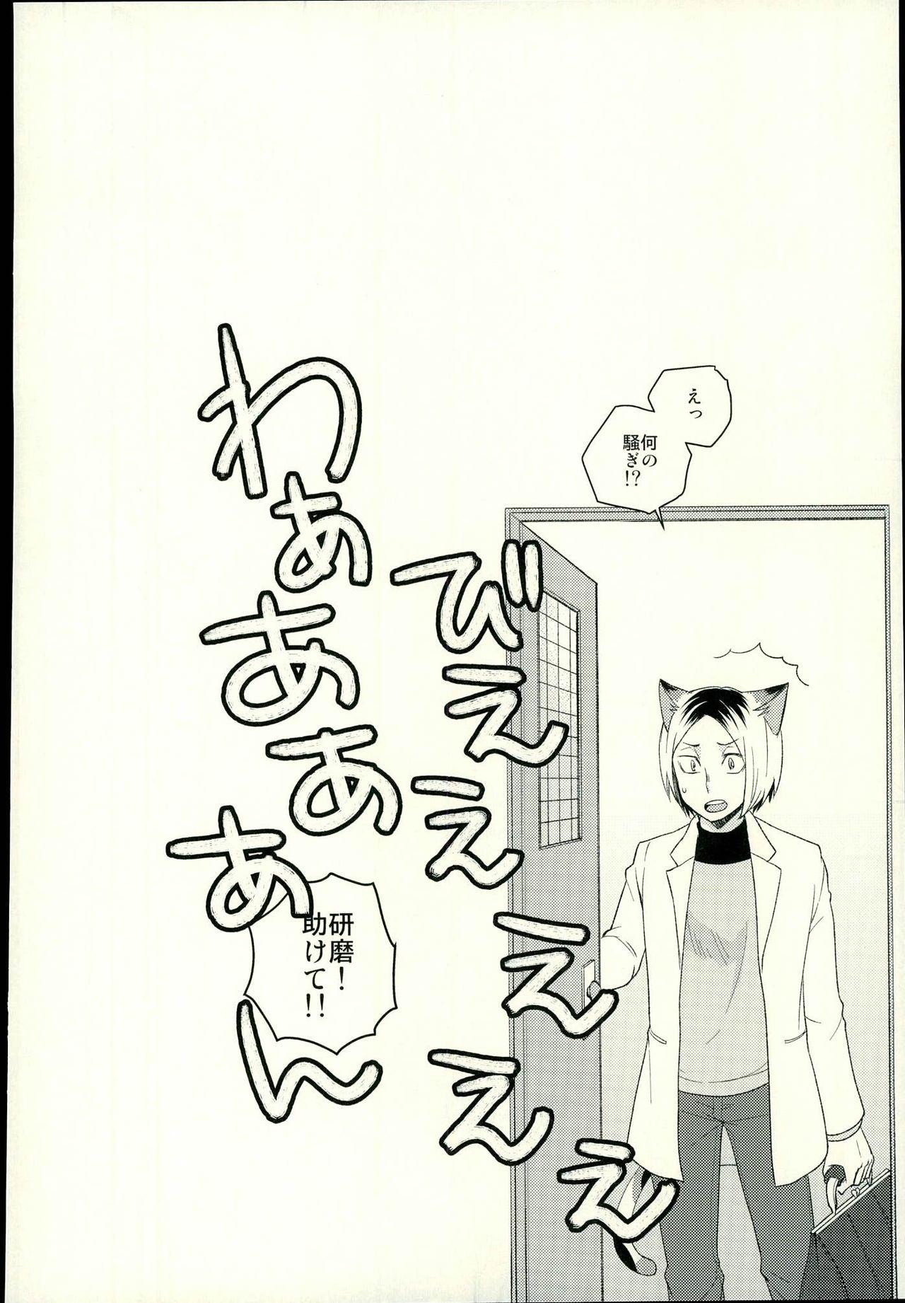 Compilation Sakihokoru Kisetsu - Haikyuu Shaking - Page 11