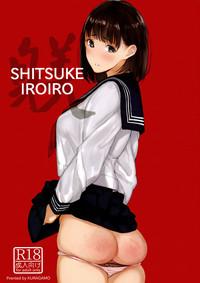 SHITSUKE IROIRO 1