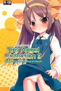 Casting Tiny Angel Collection 3 The Melancholy Of Haruhi Suzumiya Ghetto 1