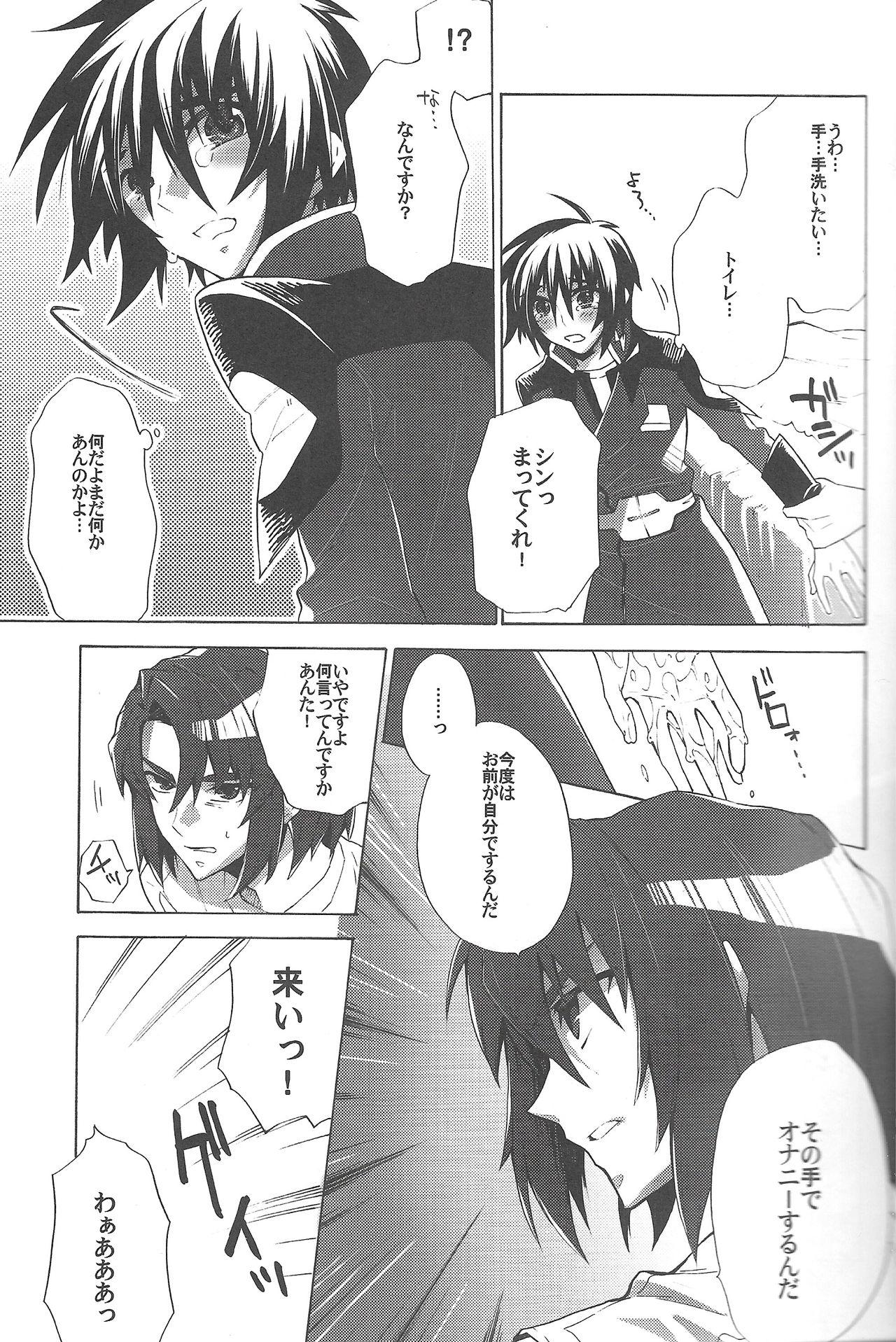 Ducha Kimio no Taion wa Uso Mitai na Shiawase - Gundam seed destiny Large - Page 10