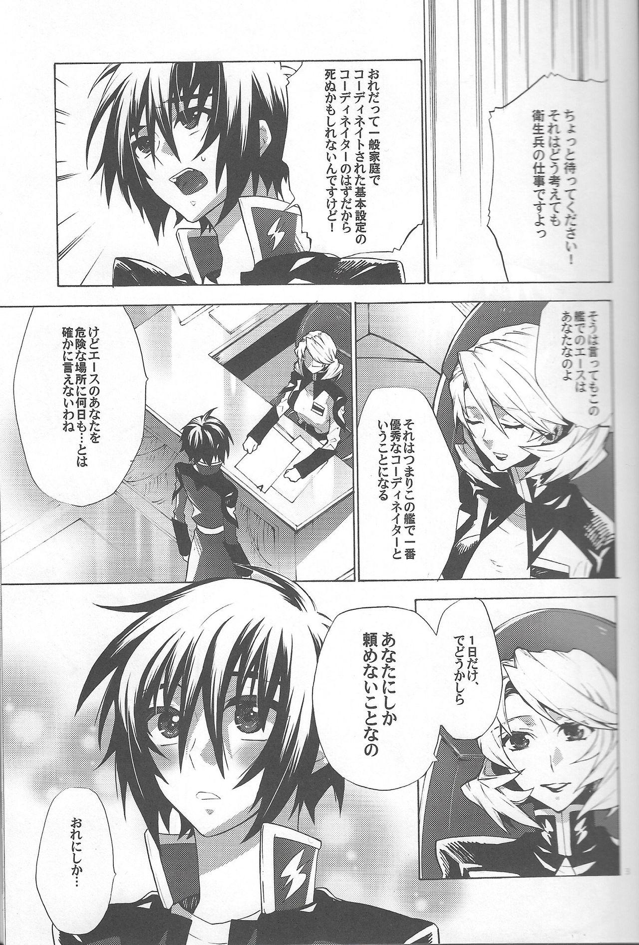 Vergon Kimio no Taion wa Uso Mitai na Shiawase - Gundam seed destiny Hot Fuck - Page 2