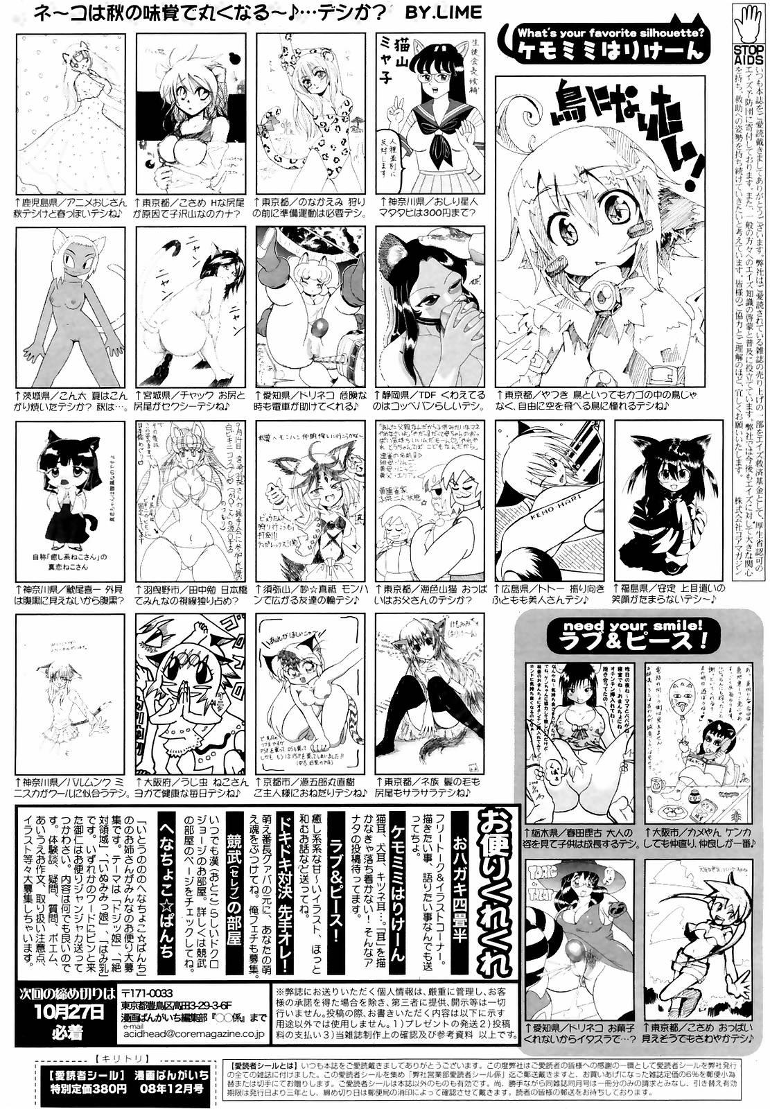 Manga Bangaichi 2008-12 261
