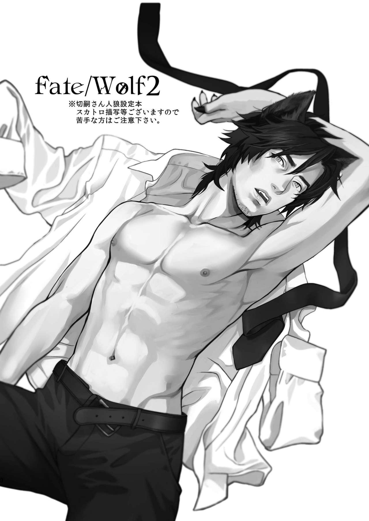 Fate/Wolf 2 2