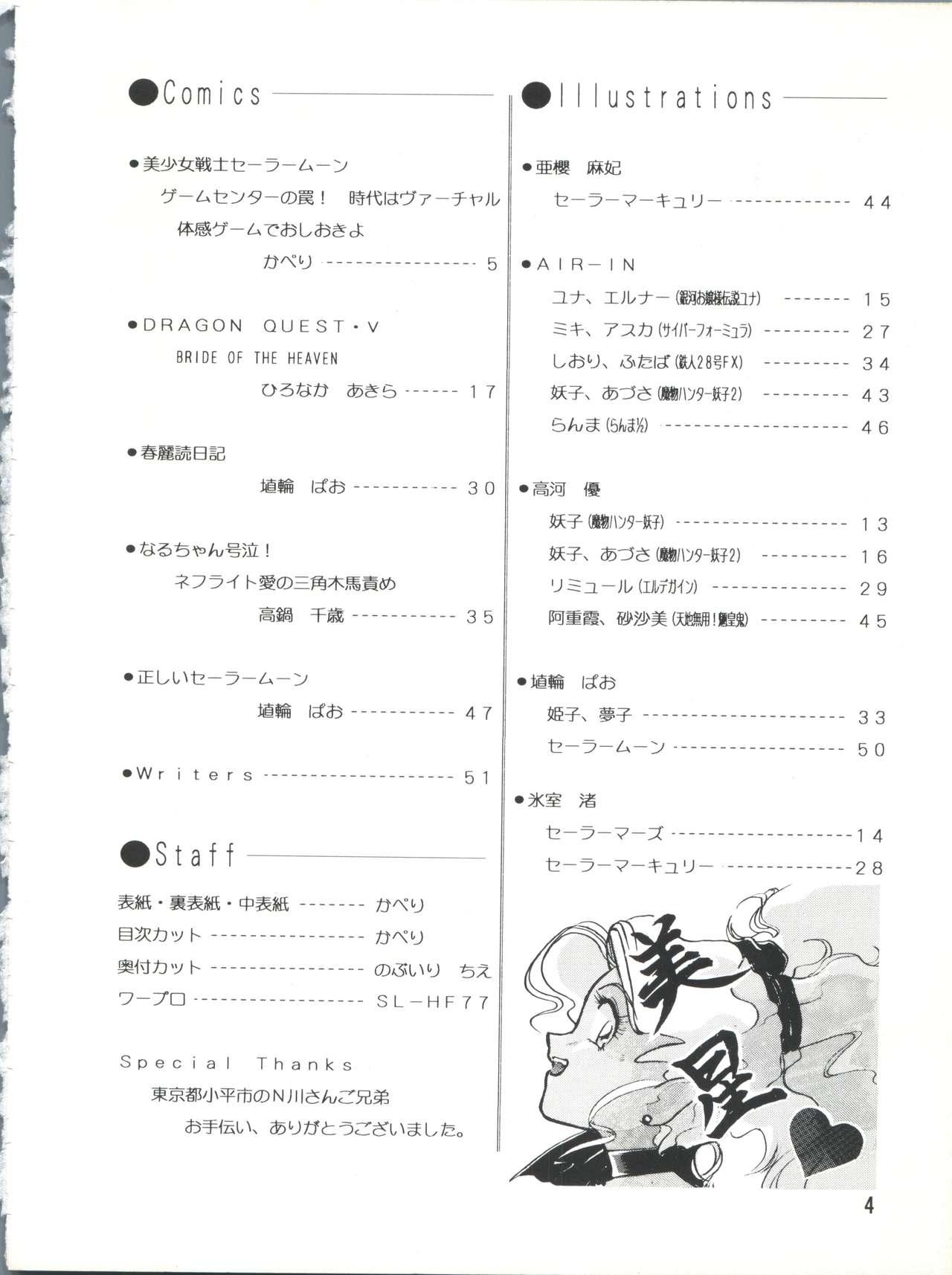 Fishnets PLUS-Y Vol.10 - Sailor moon Dragon quest v Gag - Page 4