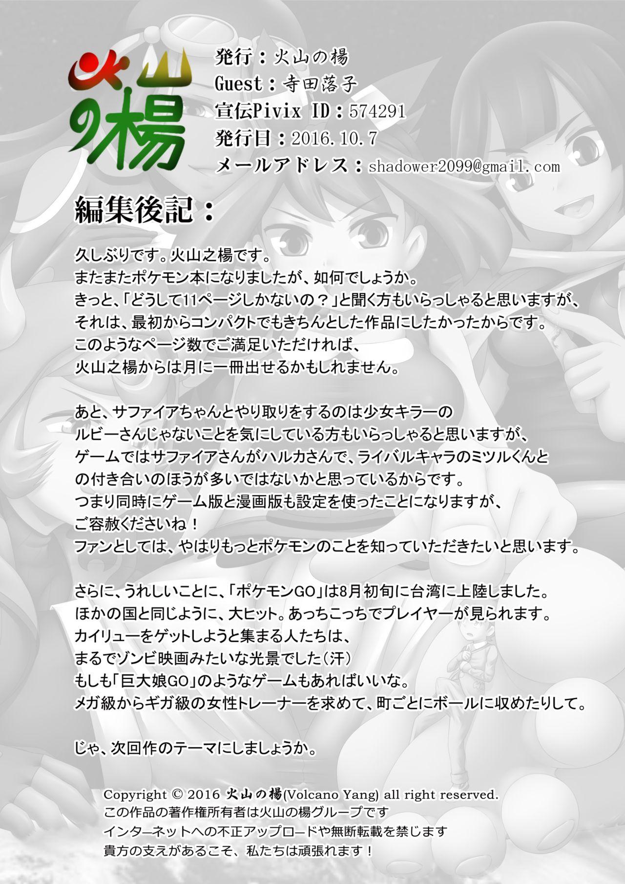 Pokemon GS - Sign 12