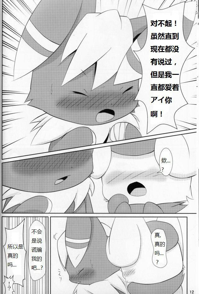 Bigbutt 【けもケット４】新刊ニャオニクス♂♀本【L-19】DIFFERENT - Pokemon Perrito - Page 11