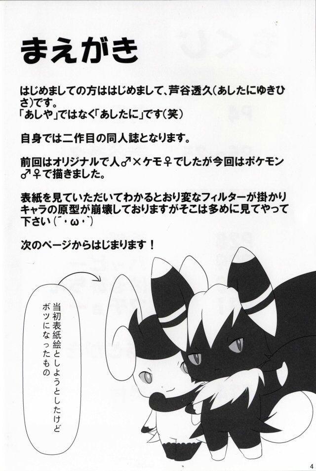 Fellatio 【けもケット４】新刊ニャオニクス♂♀本【L-19】DIFFERENT - Pokemon Close - Page 3