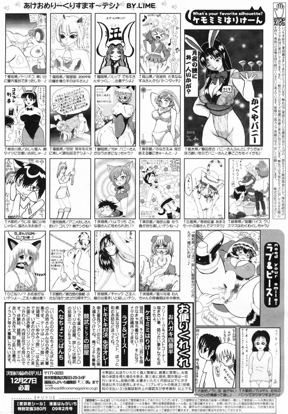 Manga Bangaichi 2009-02 Vol. 234 261
