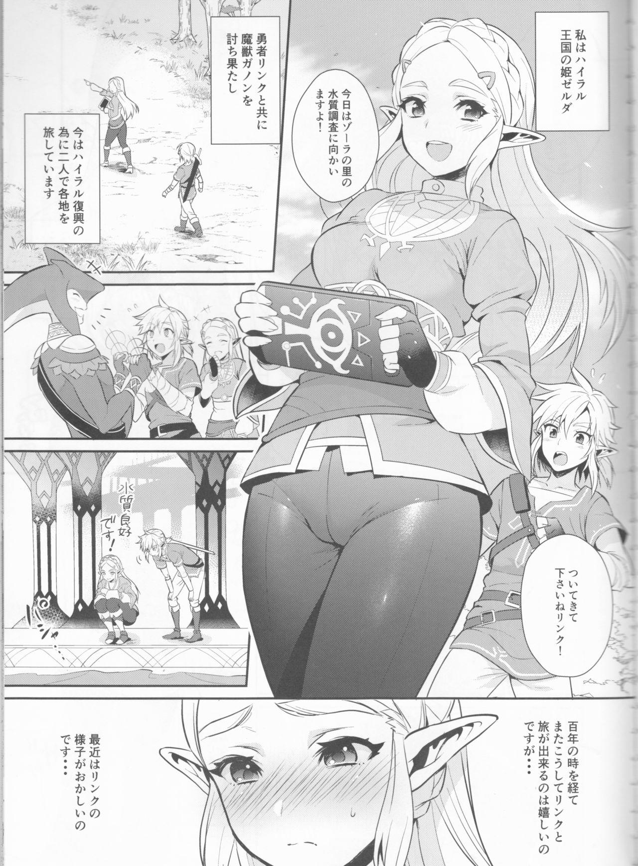 Ass Sex Hyrule Hanei no Tame no Katsudou! - The legend of zelda Sexcam - Page 4