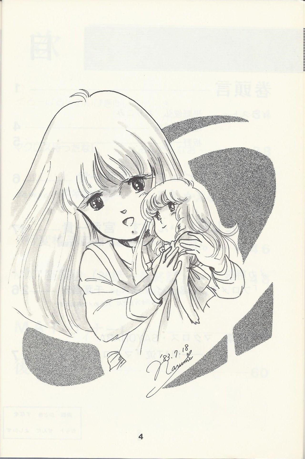 Russia Macross Attack Team - Sky Angels IV: Don't Say Goodbye - The super dimension fortress macross T Girl - Page 6