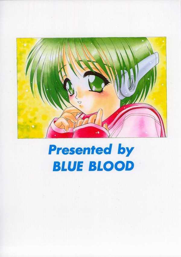BLUE BLOOD'S vol. 3 28