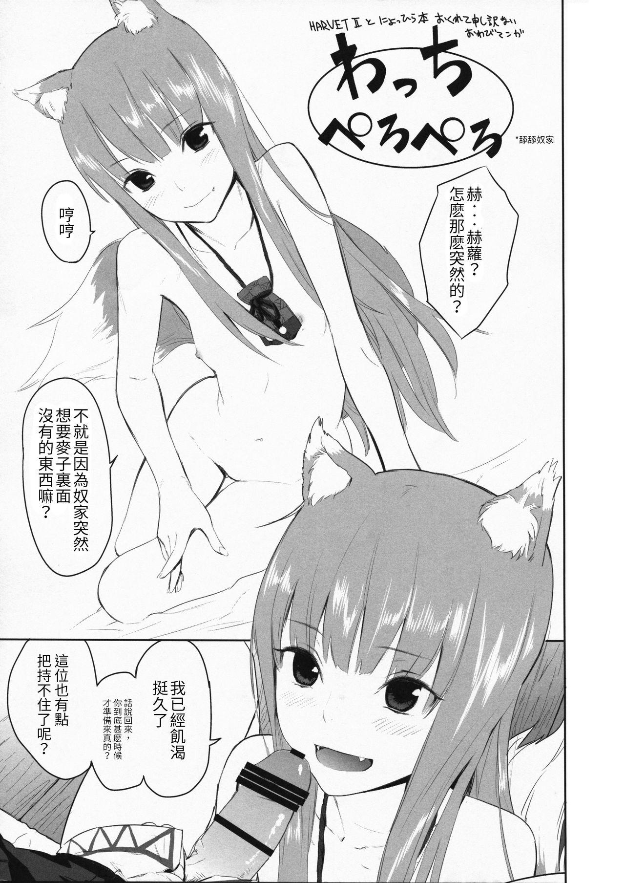 Negao Ajisai Maiden vol.1 - Code geass Spice and wolf Dragons crown Un-go Blackdick - Page 11