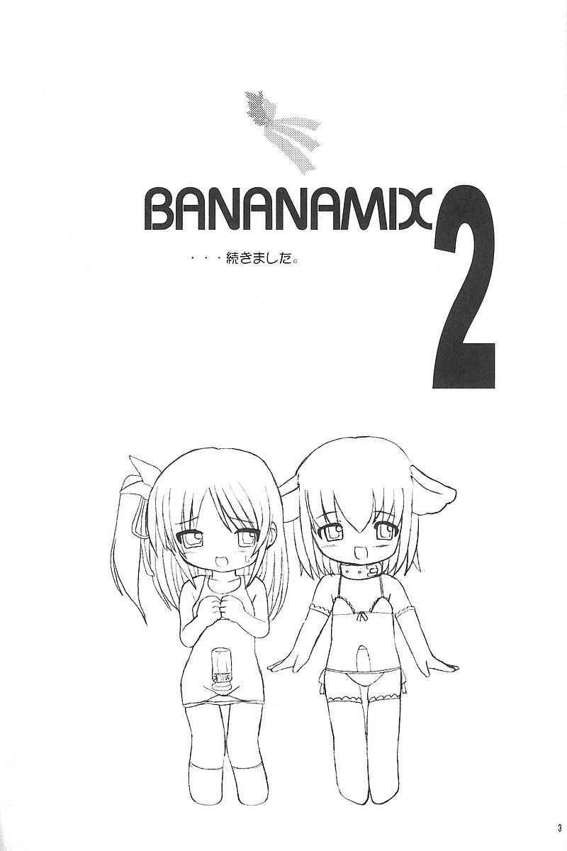 BANANAMIX 2 1