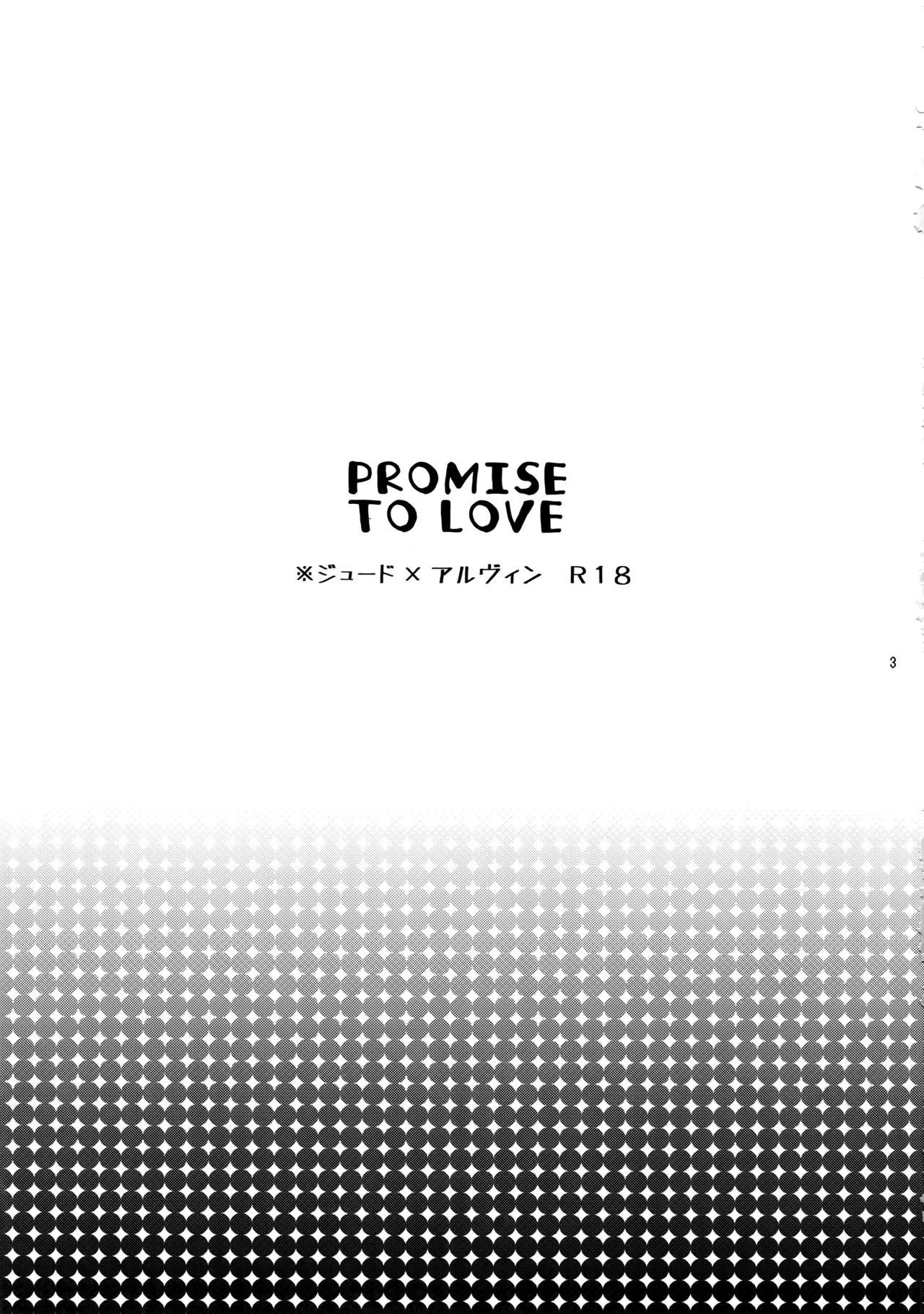 Promise to Love 1