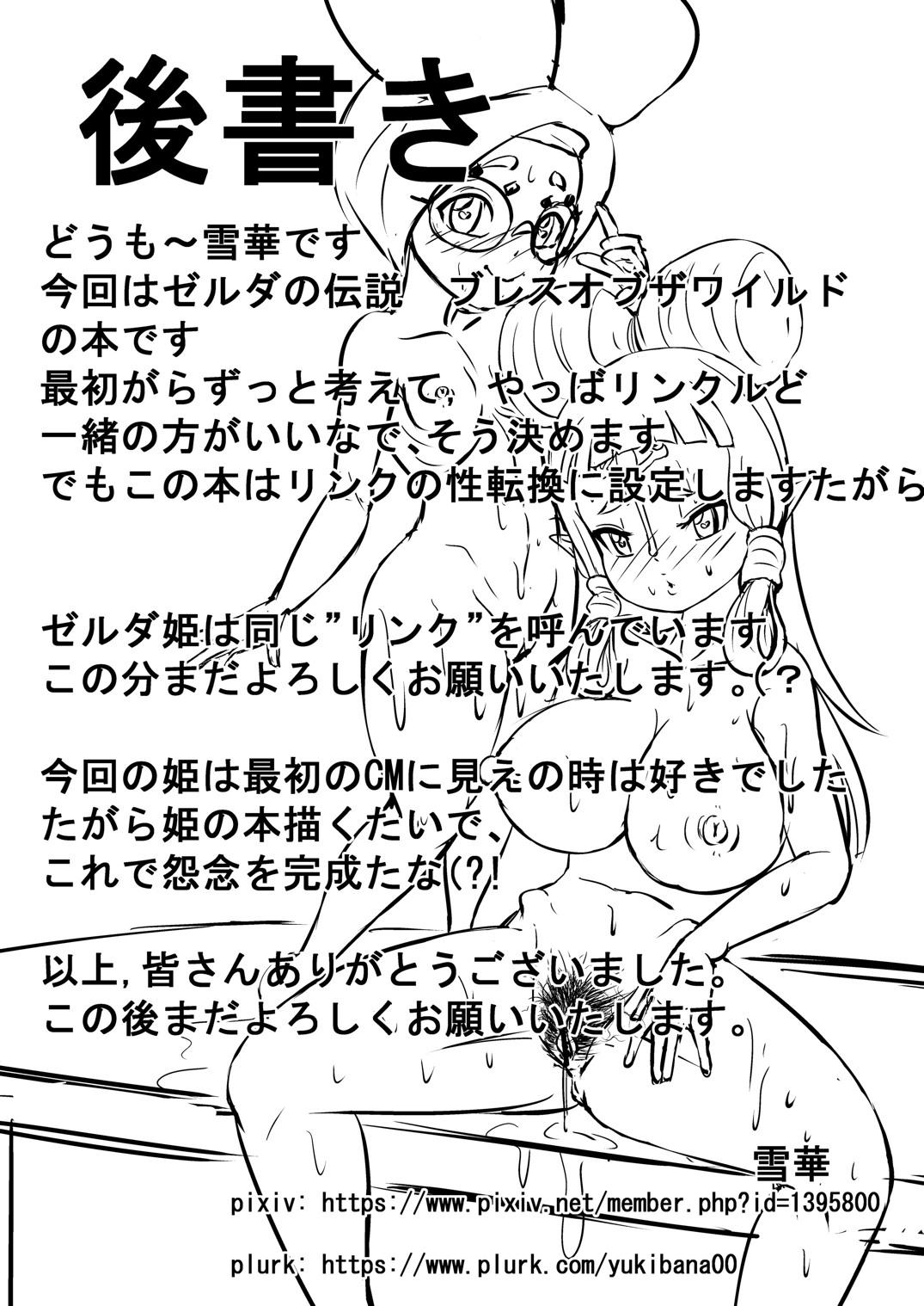 Verified Profile Hime do Yuusha no Hyrule Nichijou - The legend of zelda Amature - Page 25