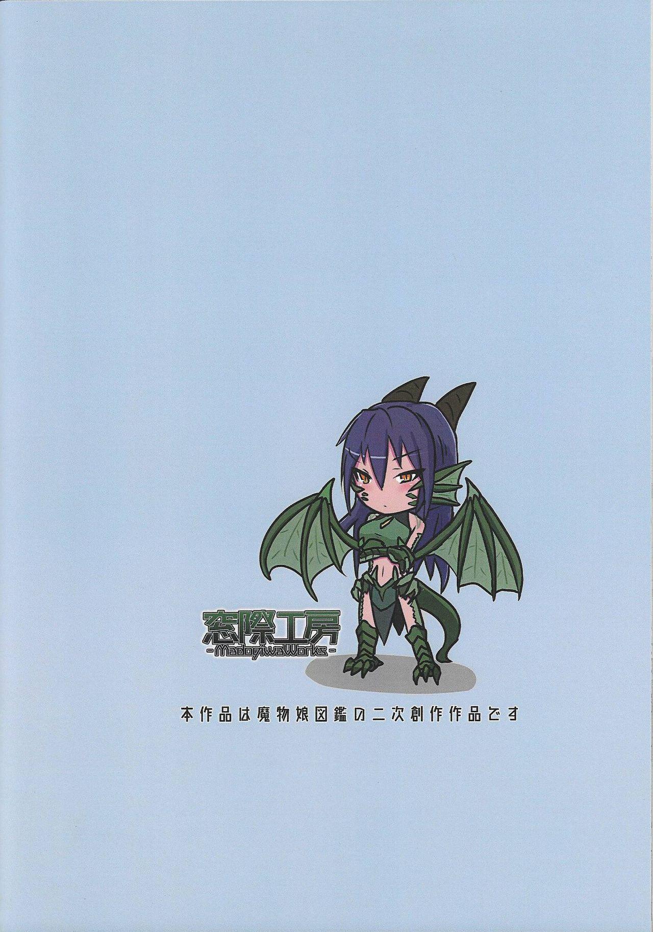 Mamono Musume Souguuki Case: Dragon 13