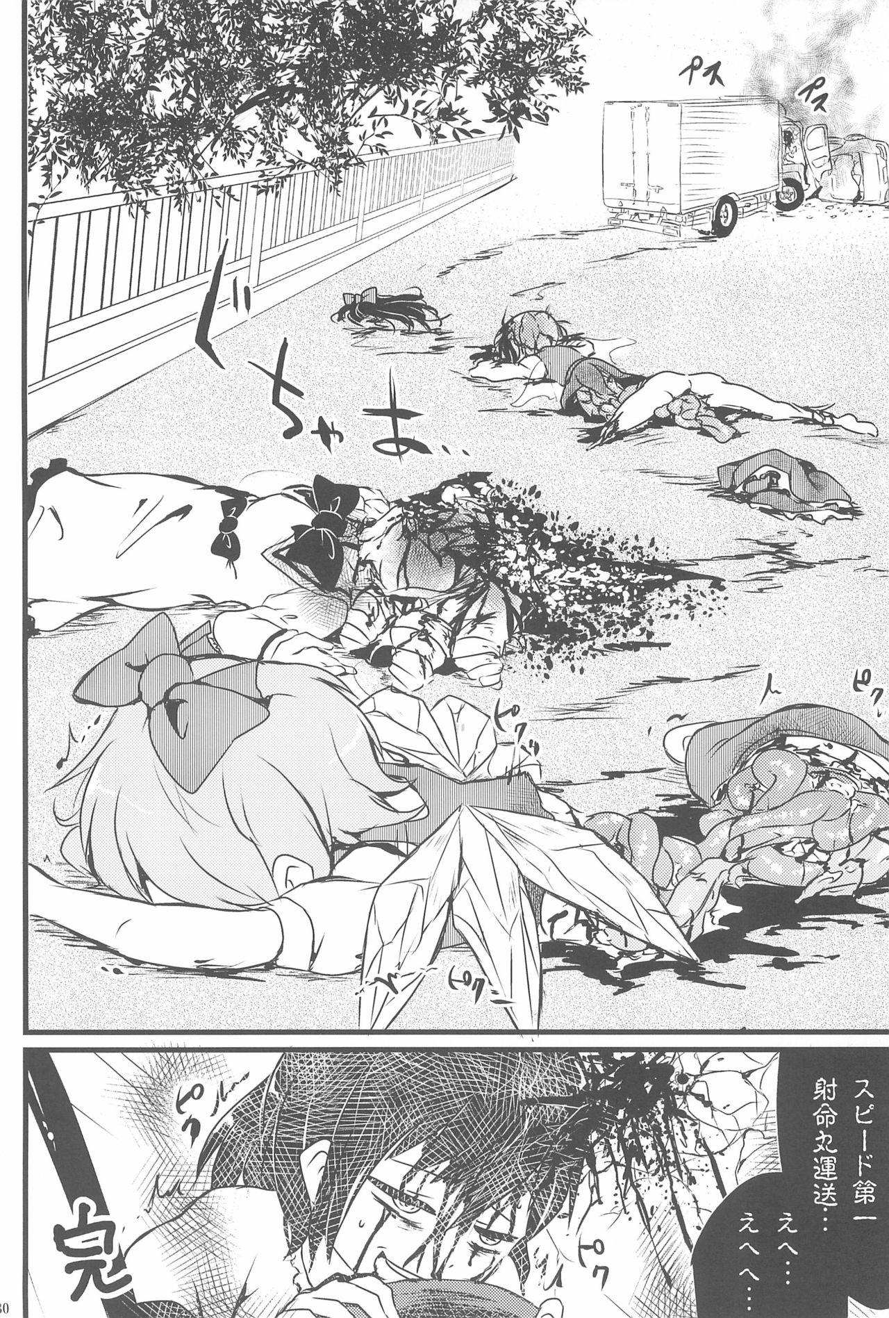 Touhou Roadkill Joint Publication 29