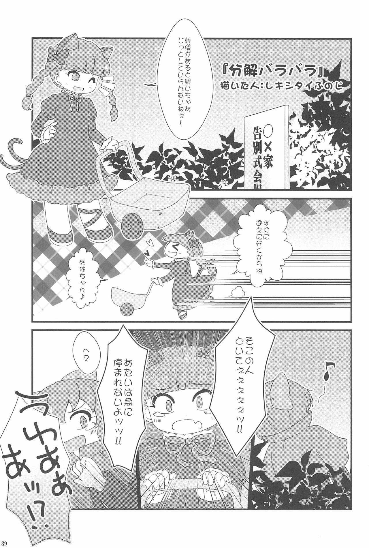 Touhou Roadkill Joint Publication 38