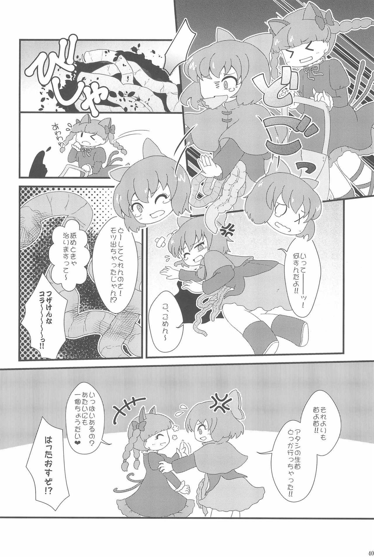 Touhou Roadkill Joint Publication 39
