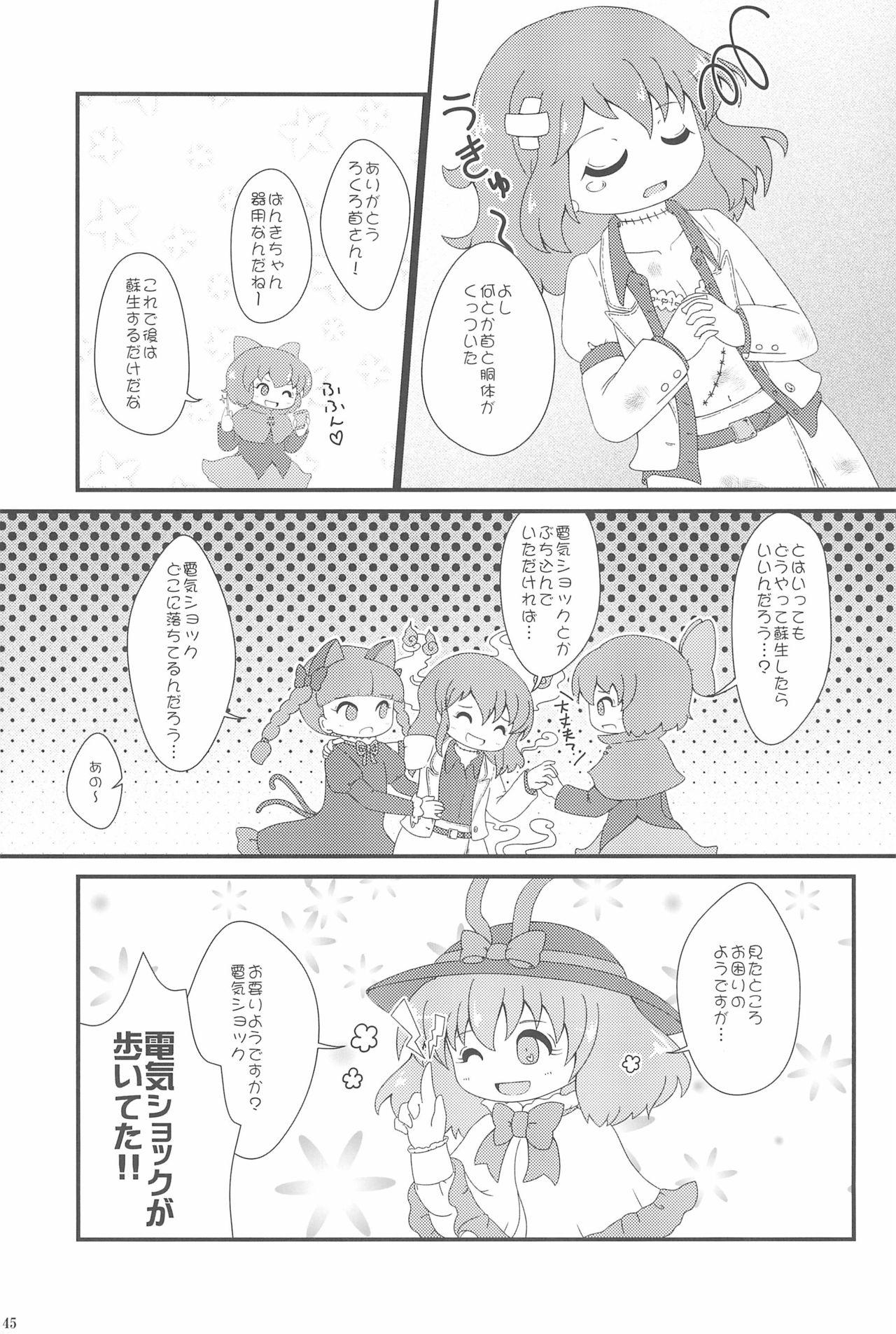 Touhou Roadkill Joint Publication 45