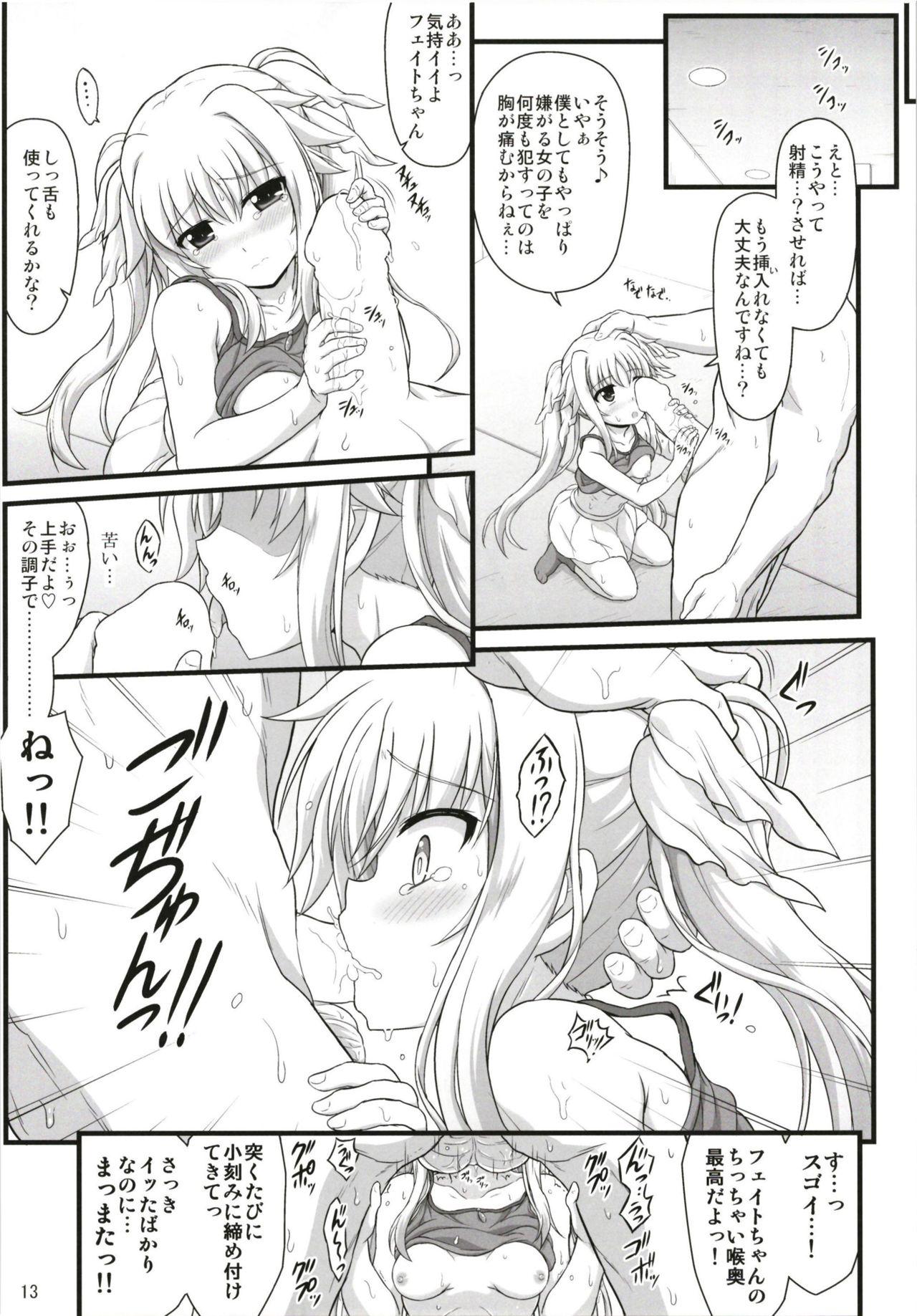 Fate Affection 12