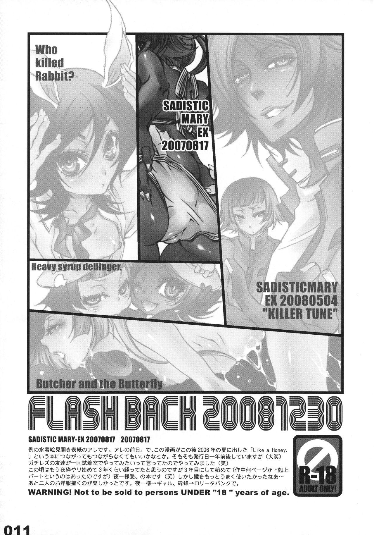FLASH BACK 20081230 10