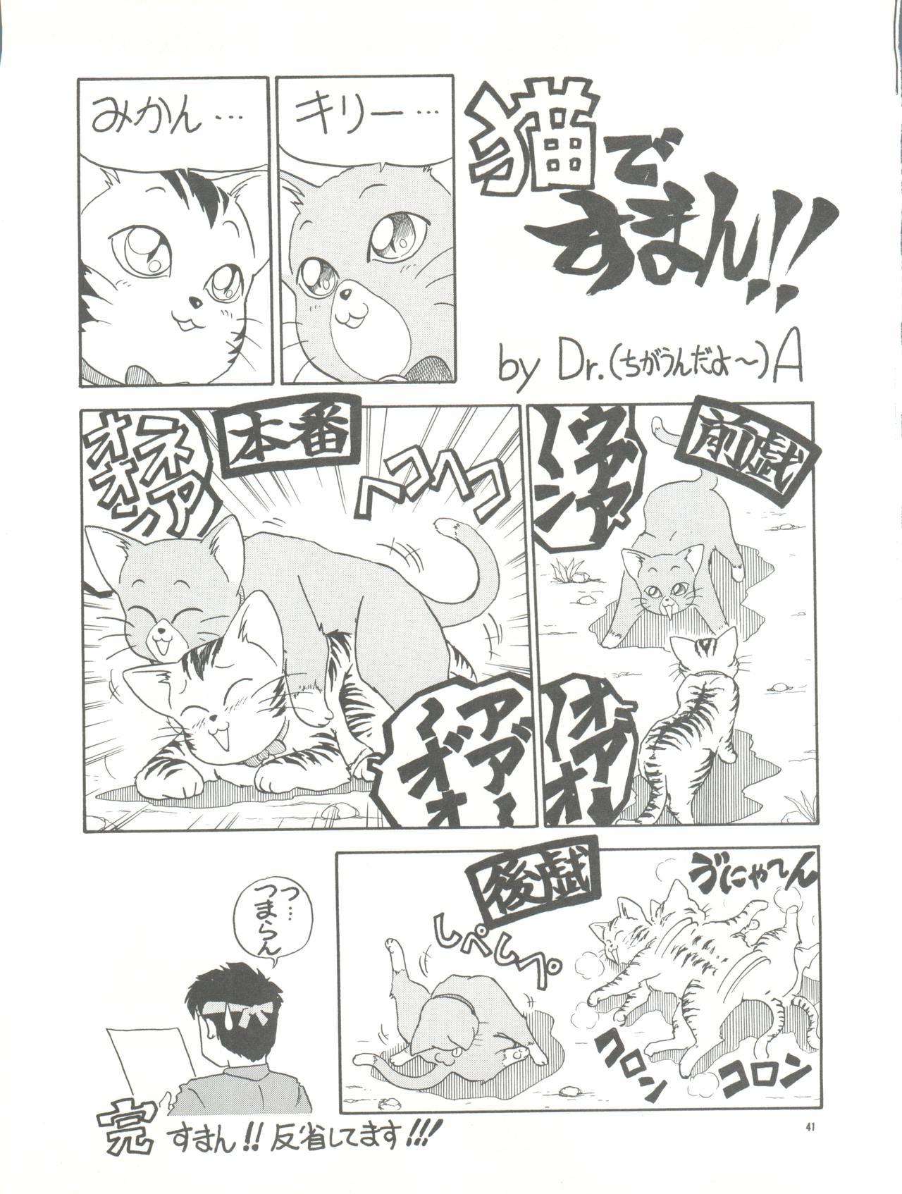 PUSSY CAT Vol. 26 Sailor Moon 3 40